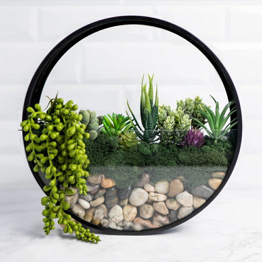 Plow & Hearth / Wall Terrarium Kit